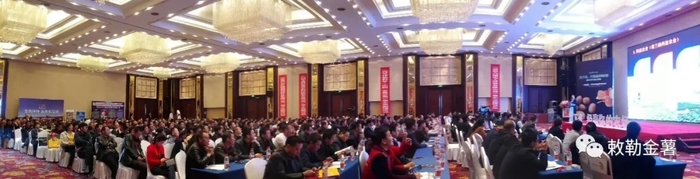 《农资与市场》传媒主办的千商大会.webp.jpg