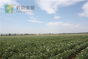 美丽固阳